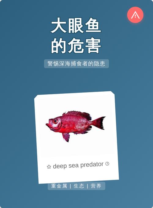 大眼鱼的三大潜在危害:重金属,生态与营养